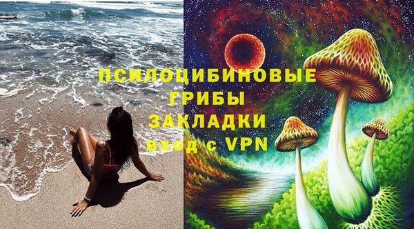 индика Балахна