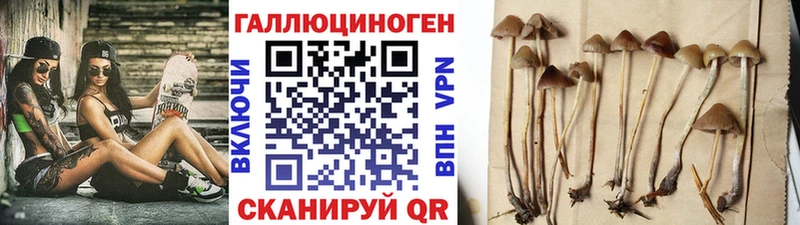 Галлюциногенные грибы прущие грибы Мосальск
